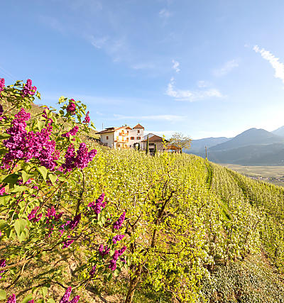 Spring holidays on the farm in South Tyrol