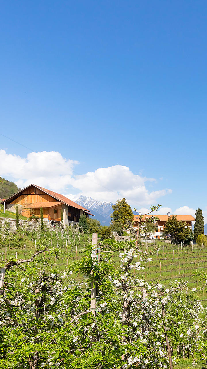 Fruit farm: 
holidays in the Garden of Eden
