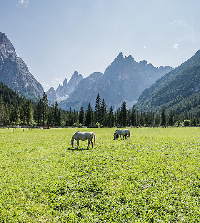 Fischleintal in Sexten - Dolomiten - Südtirol Fischleintal: Ein Juwel in den Sextner Dolomiten