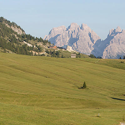 Hochalm Plätzwiese: Grünes Paradies