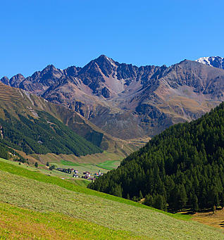 Urlaub auf dem Bauernhof in Langtaufers