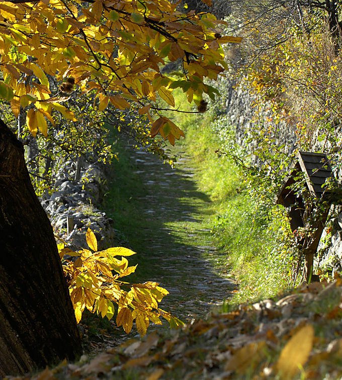 Keschtnweg in Eisacktal valley - South Tyrol Keschtnweg Chestnut Trail: autumnal gem in Eisacktal valley