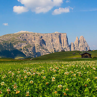 Seiser Alm: Europe’s biggest Alpine meadow