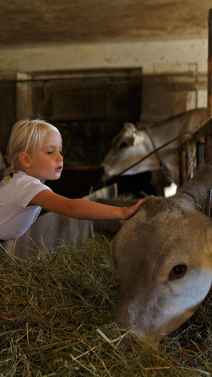 Stallbesuche am Bauernhof in Südtirol