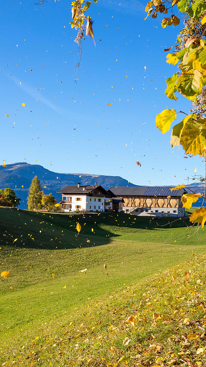 Herbsturlaub am Bauernhof in Südtirol