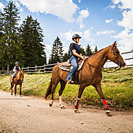Enjoy delightful rides all year round - Eggental Tourismus/StorytellerLabs