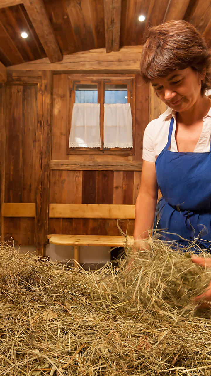 Wellness holidays on the farm in South Tyrol