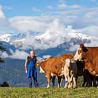 Festive cattle drives and long-awaited harvest