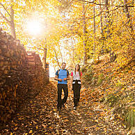 Red and yellow coloured leaves enchant the landscape