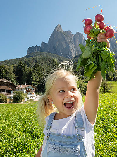 Farm Holidays